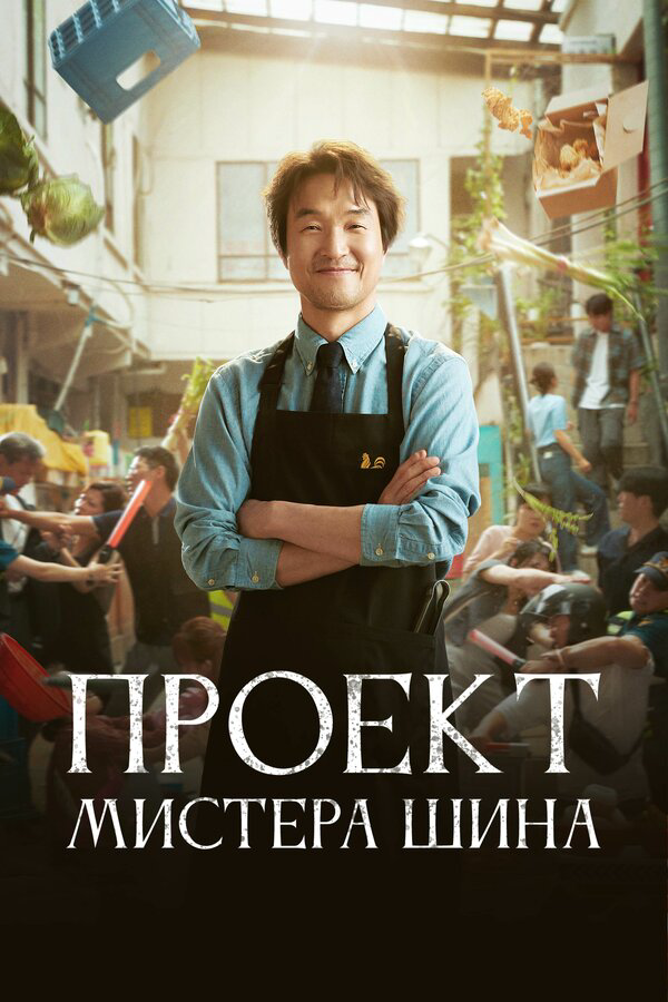 Проект мистера Щина - постер